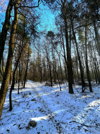 Działka Sprzedaż Babianka