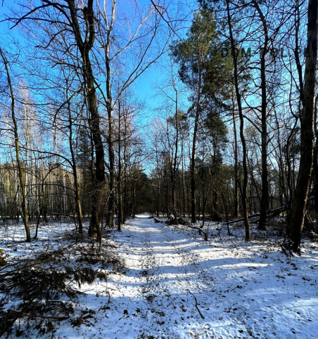 Działka Sprzedaż Babianka 18