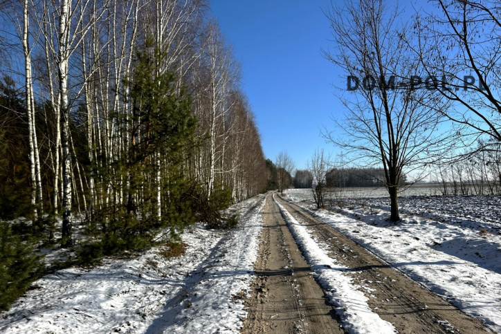 Działka Sprzedaż Babianka 19