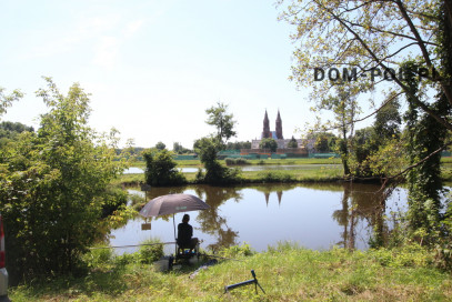 Dom Sprzedaż Wólka Policka